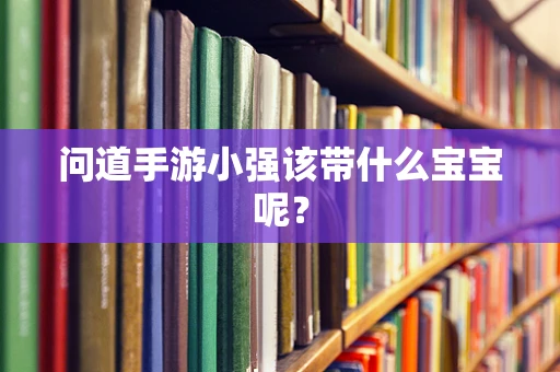 问道手游小强该带什么宝宝呢？